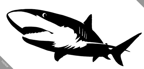 black and white linear paint draw shark illustration