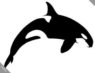 black and white linear paint draw killer whale illustration