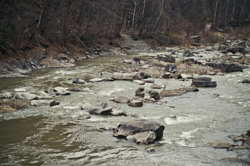 Горная река ранней весной. Каменистое ущелье в Карпатах