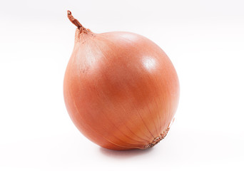 A brown onion on a white background.