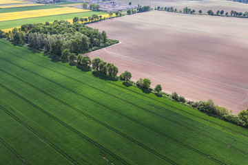 Naklejka premium aerial view of the harvest fields