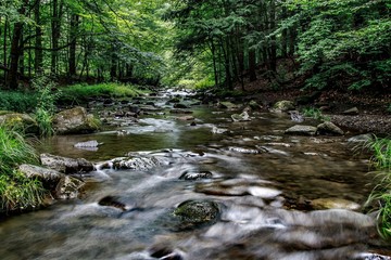 Obraz premium Sounds of Summer