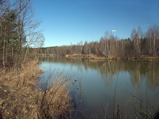 Безымянное лесное озеро весной. Подмосковье