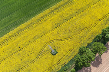 aerial view of the  harvest fields