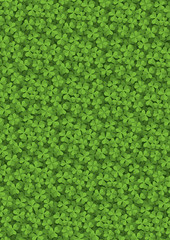 Clover meadow background