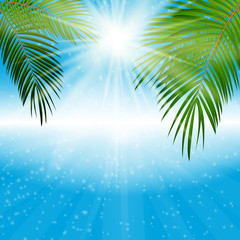 Fototapeta na wymiar Palm Leaf Vector Background Illustration
