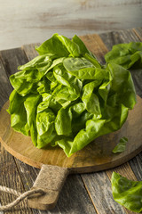 Raw Green Organic Boston Butter Lettuce
