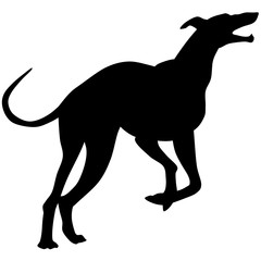 Silhouette of a greyhound dog.Vector illustration
