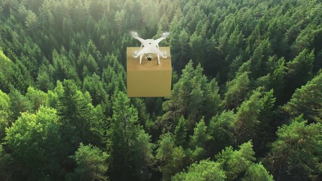 Aerial Shot of a Drone Flying over Summer Forest  Delivering Package. Shot on 4K (UHD) Camera.