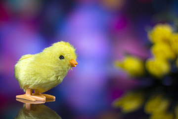 Easter theme. chicken bokeh background, place for typography, Happy Easter