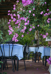 Fototapeta na wymiar Terrace with furniture and plants. Wooden dining table set in garden setting at the old restaurant. outdoor zone around flower garden