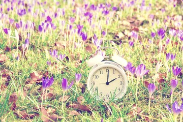 Zeitumstellung - Sommerzeit - Blumenwiese Krokusse 