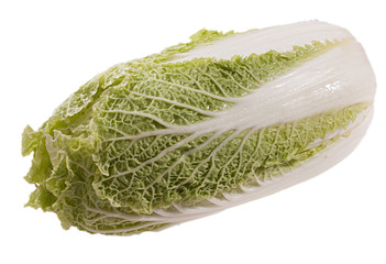 Chinese cabbage on a white background