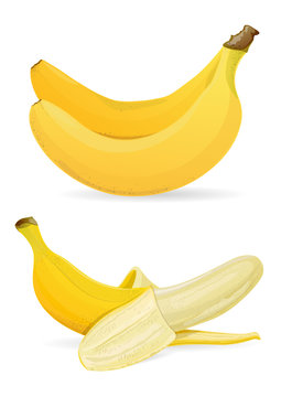 Isolated bananas on white background vector illustration.