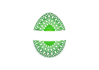 Easter eggs vector illustration modern background, with paper cut out lace egg shaped ornaments on green background