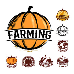 Isolated orange color pumpkin logo set on white, autumn vegetable logotype collection, stylized globe vector illustration