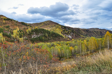 Altai mountains, covered with colorful autumn forests