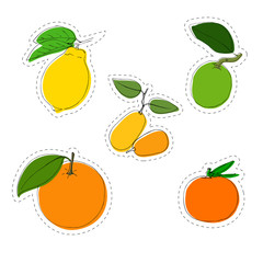 Vector color sticker set of citrus fruit. Lemon, orange, mandarin, lime, kumquat