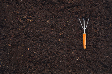 Gardening tools on fertile soil texture background seen from above, top view. Gardening or planting...