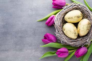 Spring greeting card. Easter eggs in the nest. Spring flowers tulips.