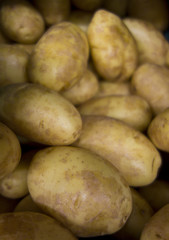 Collection of Potatoes in Supermarket