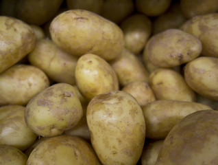 Collection of Potatoes in Supermarket