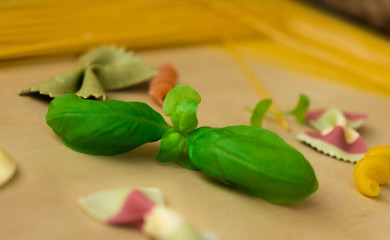 Various mix of pasta and basil close-up