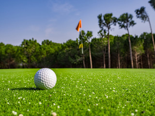 Obraz premium Golf course in the countryside