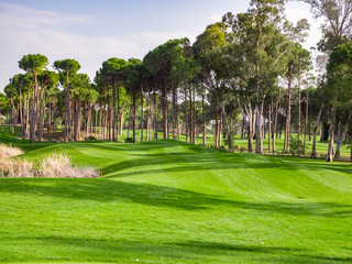 Fototapeta na wymiar Golf course in the countryside