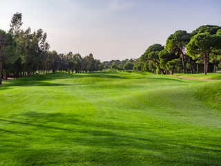 Obraz premium Golf course in the countryside