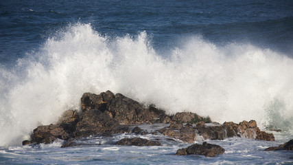 Large waves from winter swells breaking on the rocks in Maui, Hawaii