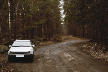 Obraz na płótnie Canvas Car forest trip. Journey on a personal white car. background