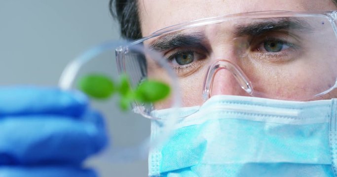 A scientist in a laboratory analyzes the soil and the plants inside  to collect the plant DNA. Concept: analysis, dna, bio, microbiology, augmented reality, biochemistry, immersive technology