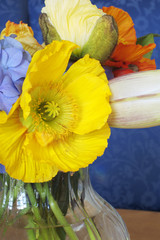 Poppies in a vase