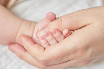 Obraz na płótnie Canvas A newborn baby holding his mother's hand