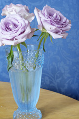 Violet roses