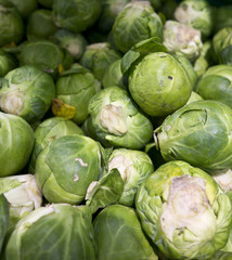 Collection of Sprouts in Supermarket