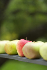 Apples in a row