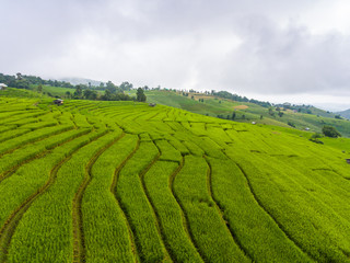 Fototapeta na wymiar Aerial view of beautiful rice terrace in a mountain