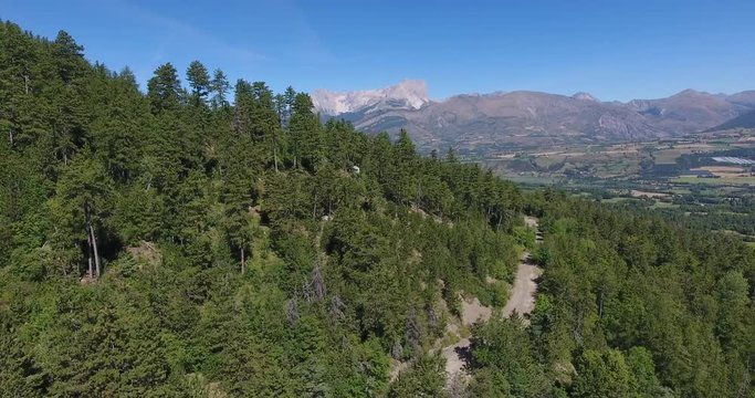 Aerial tree and mountains pic de bure