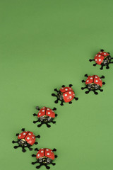 Chocolate ladybirds in a row