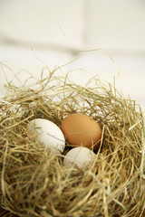 Nest made of straw with eggs, close-up