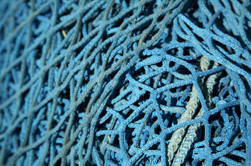 Blue fishing net, part of