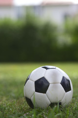 A football on a meadow 