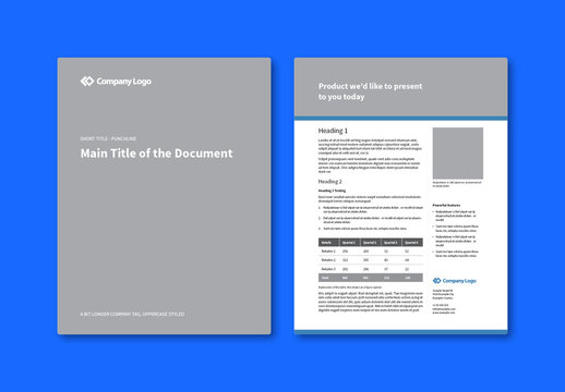 Company Data Sheet Layout