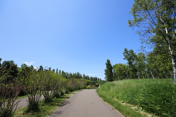 Four seasons of Sapporo Maeda Forest Park