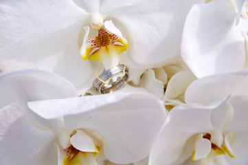 wedding bouquet with orchid and rings