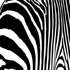 Zebra seamless pattern. For wallpaper, tiles, fabrics and designs. Vector illustration.