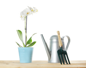 Gardening composition with orchid flower and garden tools in a wicker basket isolated over white...