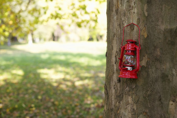 Lantern hanging on a trunk, selective focus